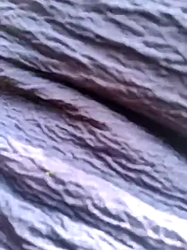 Queen chayna online show from January 2026 06:39:02 AM