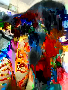 couple fun  online show from February 2026 12:26:01 PM