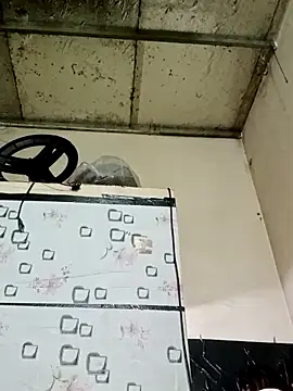 Sana-vn online show from March 2026 12:21:01 AM