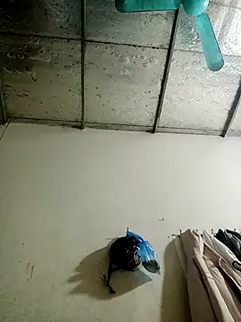 Sana-vn online show from January 2026 01:47:02 PM