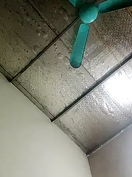 Sana-vn online show from February 2026 12:20:02 AM