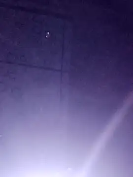 Sana-vn online show from March 2026 02:45:01 PM