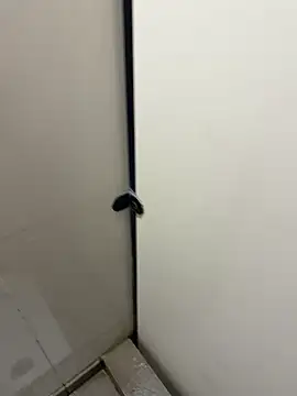 Johnlim880 online show from January 2026 04:52:01 AM