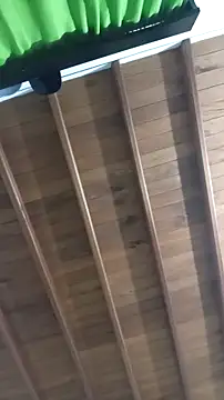 saray reesee online show from March 2026 12:54:01 AM