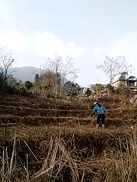 Snapshot of alycen chatting on January 2026 02:37:02 AM alycen online show from January 2026 02:37:02 AM