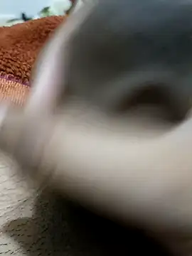  chota bunny  online show from February 2026 08:18:01 PM