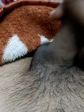  chota bunny  online show from February 2026 07:55:01 AM