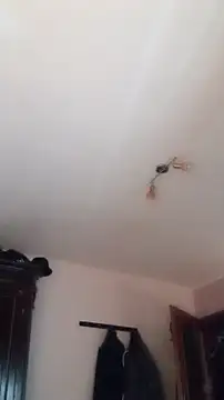 Der Schoene Penis online show from January 2026 01:07:01 PM