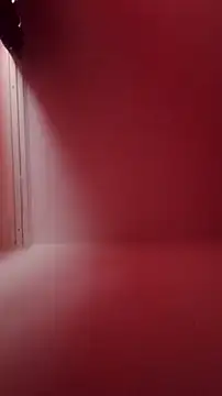 Der Schoene Penis online show from February 2026 11:01:01 AM