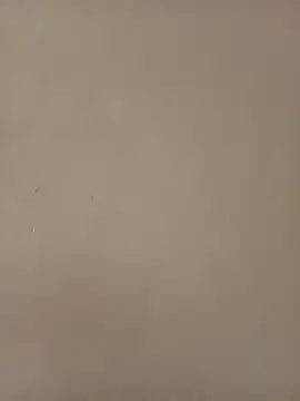 shanicollete online show from January 2026 04:52:01 AM