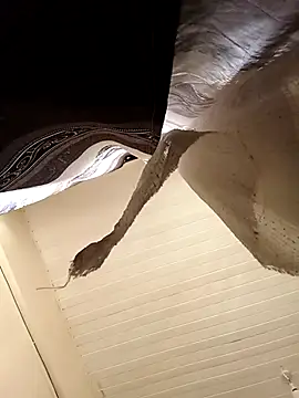 shanicollete online show from January 2026 04:27:02 AM