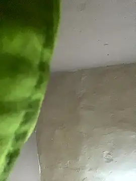 kwandero1234 online show from January 2026 07:42:02 PM