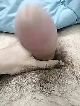 Cum-  online show from January 2026 07:36:01 AM