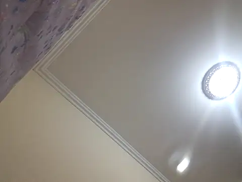 kitty pi online show from March 2026 04:56:02 AM