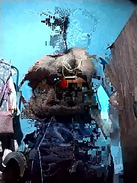 Danu2005dsa online show from March 2026 05:47:02 PM