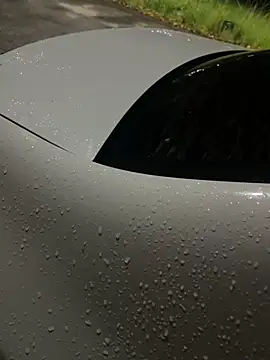 Snapshot of flavia337 chatting on February 2026 12:44:02 AM flavia337 online show from February 2026 12:44:02 AM