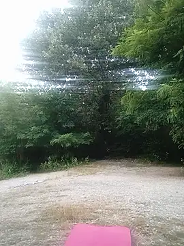 WildNomade online show from July 2026 04:40:02 PM