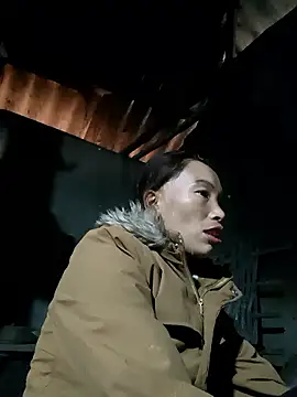 Nllpvp online show from January 2026 02:50:01 AM