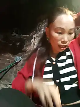 Nllpvp online show from January 2026 02:37:01 AM