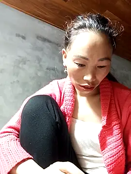 Nllpvp online show from March 2026 11:48:02 PM