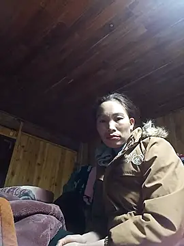 Nllpvp online show from January 2026 02:07:01 AM