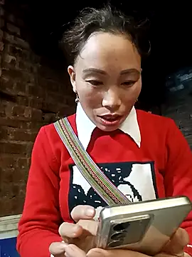 Nllpvp online show from March 2026 08:29:02 AM