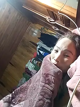 Nllpvp online show from January 2026 02:44:02 PM