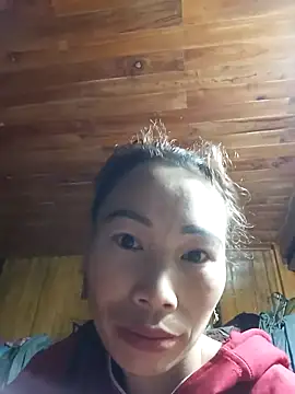 Nllpvp online show from January 2026 11:19:02 PM