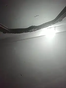 momo loves online show from March 2026 07:17:02 PM