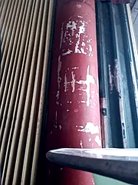 Snapshot of LINSA20 chatting on February 2026 04:52:02 AM LINSA20 online show from February 2026 04:52:02 AM