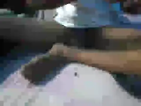 daddyunky online show from February 2026 08:28:02 PM