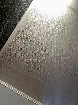 Snapshot of Evelin199 chatting on June 2026 03:18:01 PM Evelin199 online show from June 2026 03:18:01 PM