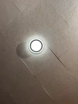 Evelin199 online show from March 2026 03:59:01 PM