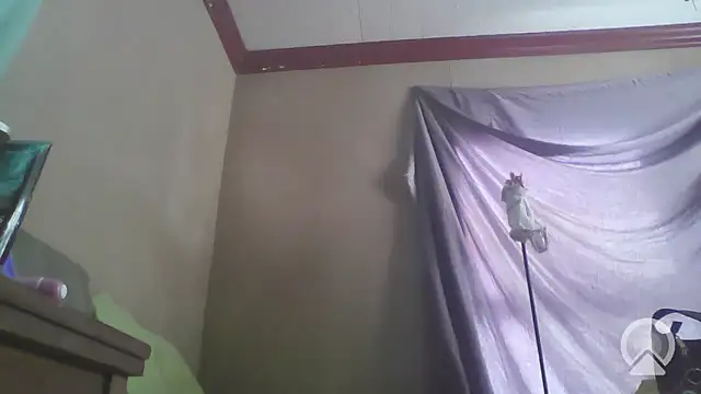 jojosbizarrelyf online show from January 2026 03:30:01 PM