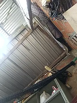 cielo420 online show from January 2026 04:12:01 PM