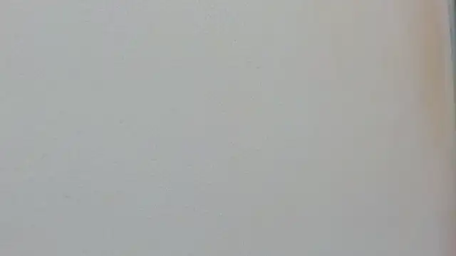 Missy 22  online show from April 2026 01:37:01 PM