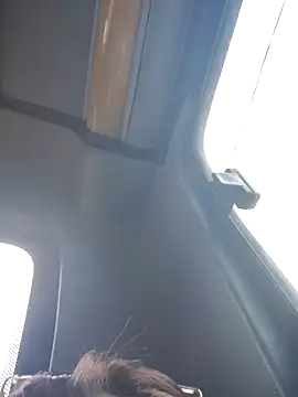 Cataleya 16 online show from April 2026 07:11:02 PM