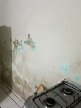     gozada---- online show from January 2026 10:49:02 PM