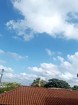     gozada---- online show from January 2026 11:03:01 AM