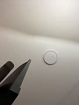 Michelle ec online show from March 2026 03:06:02 PM