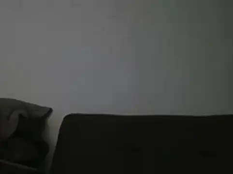 RAFAELQUINTEROSCAVALHEI online show from July 2026 10:22:02 PM