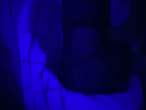 WarmSound online show from January 2026 06:39:01 AM