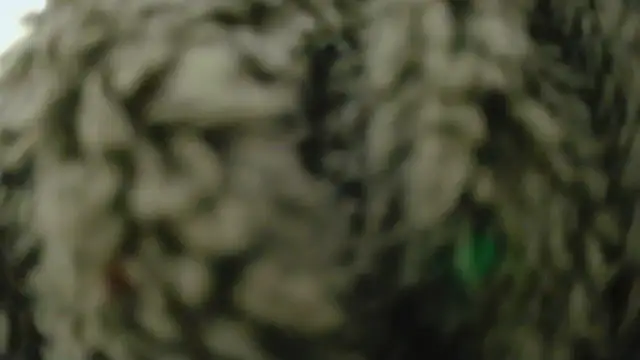 Masui online show from February 2026 07:50:01 AM