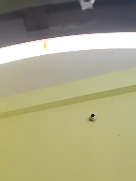 trinasa online show from January 2026 08:05:01 PM