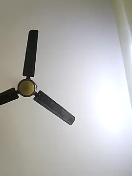 trinasa online show from January 2026 08:04:02 PM