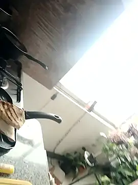 Snapshot of EcoDePiel chatting on January 2026 03:51:02 PM EcoDePiel online show from January 2026 03:51:02 PM