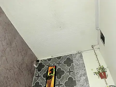 Snapshot of lily_bloomx18 chatting on January 2026 04:43:01 PM lily bloomx18 online show from January 2026 04:43:01 PM