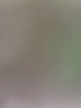 wy2026 online show from April 2026 12:06:02 AM