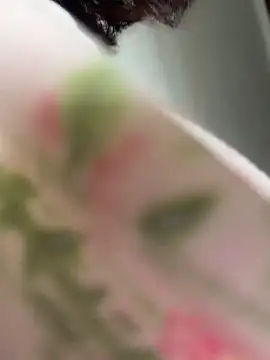 wy2026 online show from April 2026 03:21:02 AM