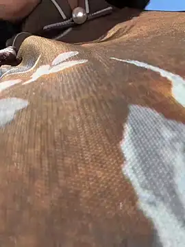 wy2026 online show from April 2026 05:25:01 AM